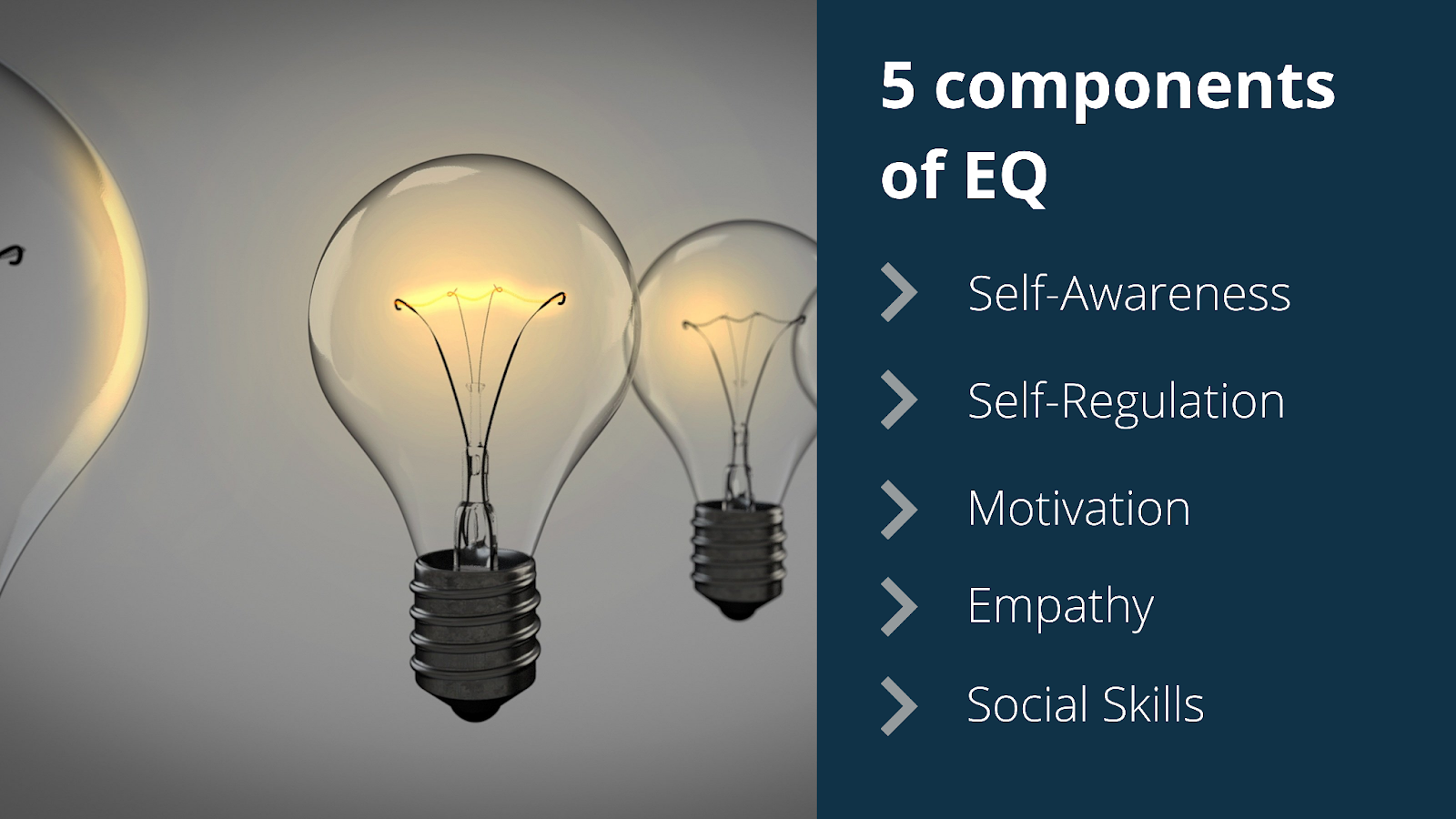 5 Components of Emotional Intelligence in the Workplace